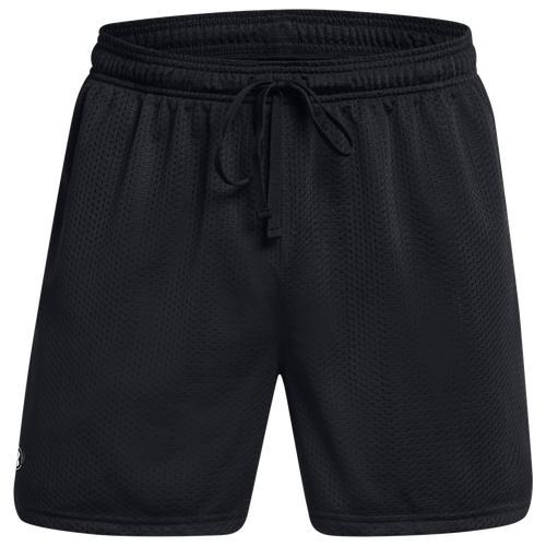 Under Armour Mens UA Icon 5 Mesh Shorts Product Image