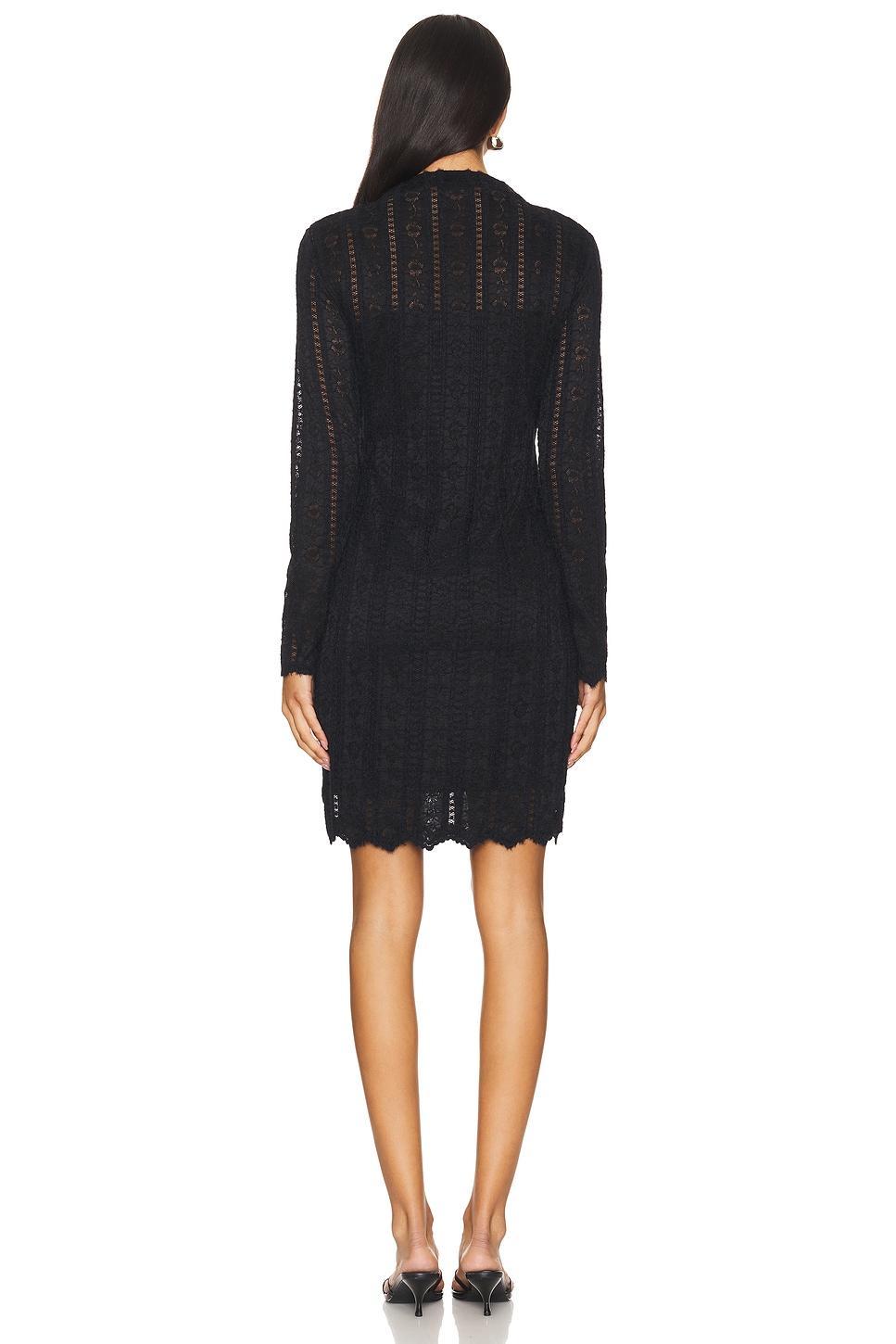 Nafia Dress Steve Madden Product Image