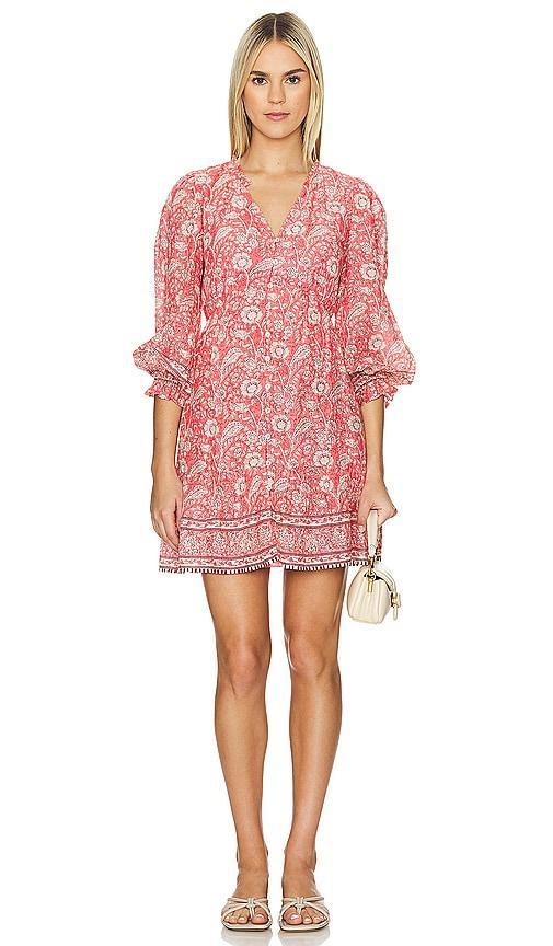 Mary Mini Dress Velvet by Graham & Spencer Product Image