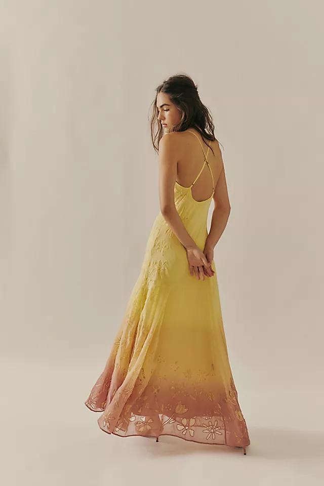 Spring Showers Maxi Dress Product Image