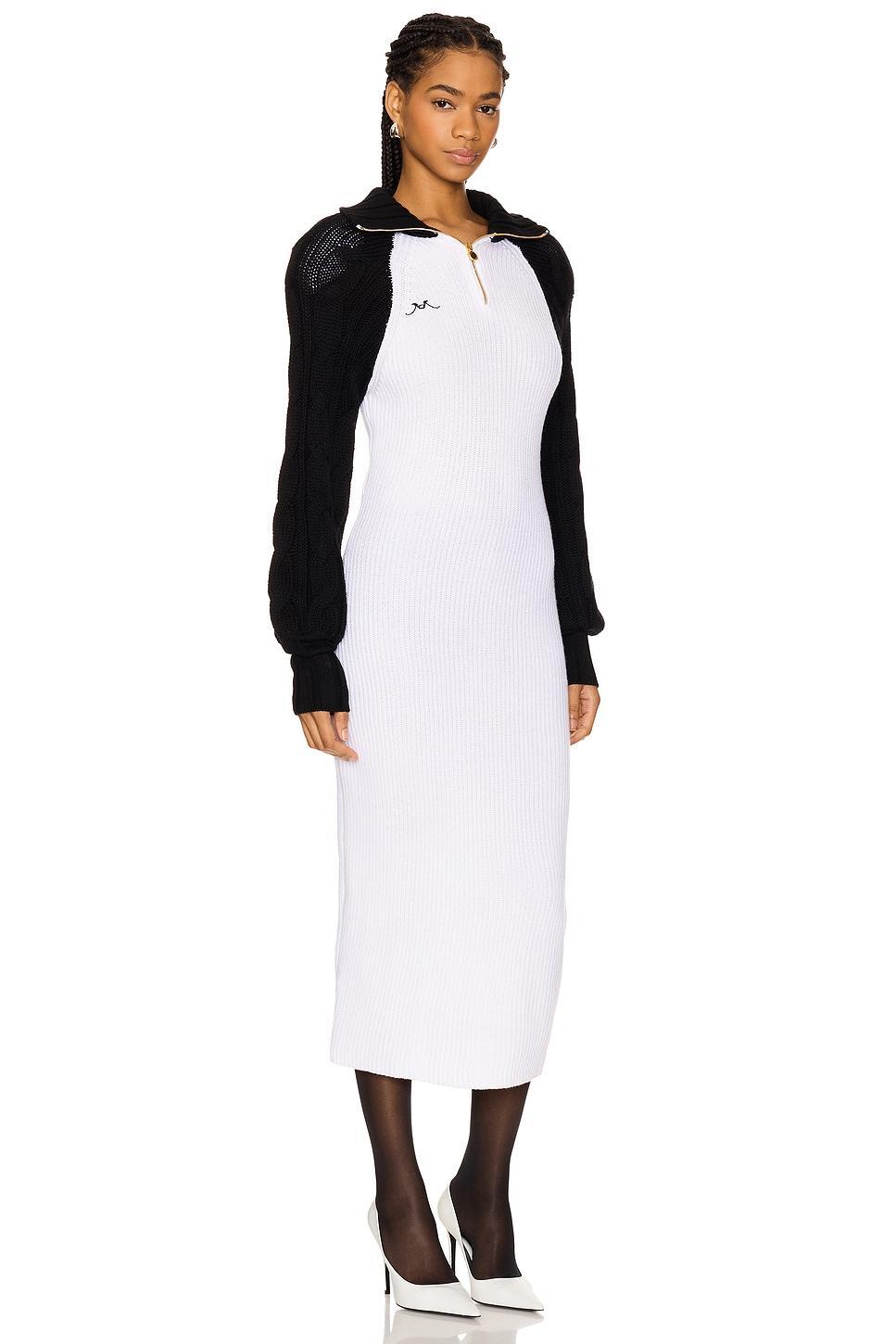 Turtleneck Raglan Knit Dress Rowen Rose Product Image