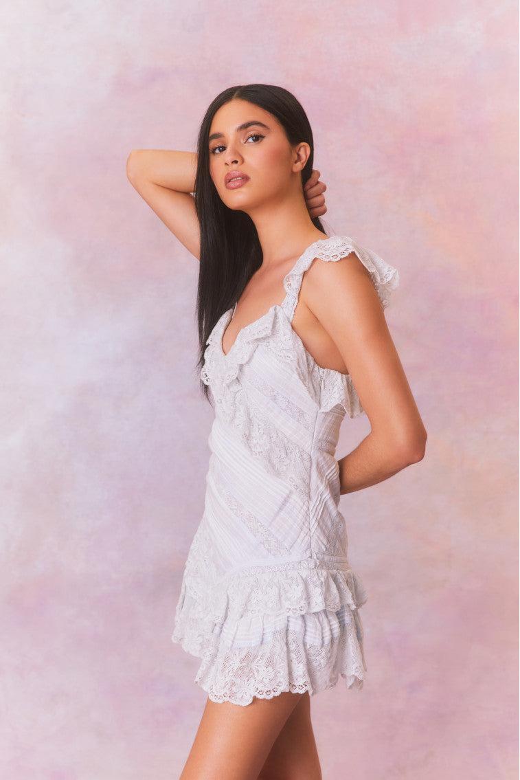 Bensley Fitted Lace Mini Dress Product Image