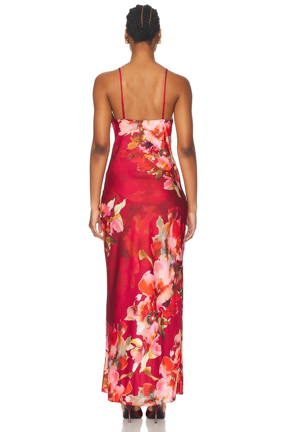 Tuhi Maxi Dress Product Image