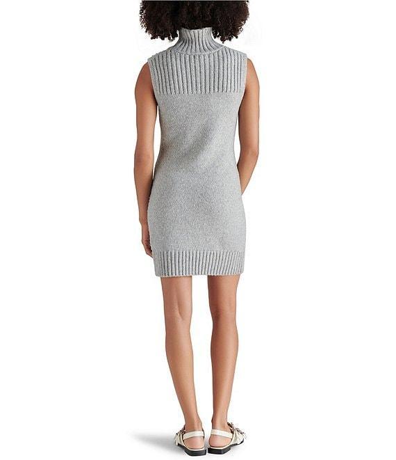 Steve Madden Karissa Turtleneck Sleeveless Sweater Mini Dress Product Image