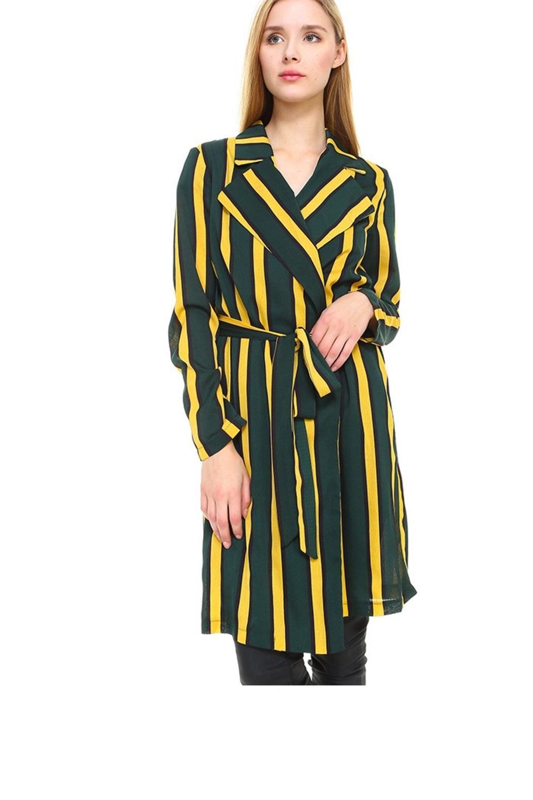 Trench Coat Multi Stripe Long Line Belted Jacket Product Image