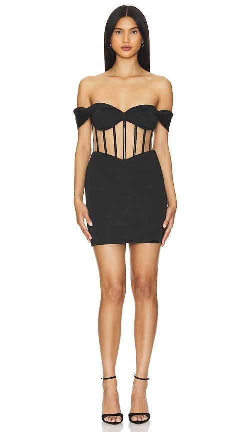 Evie Mini Dress RTA Product Image