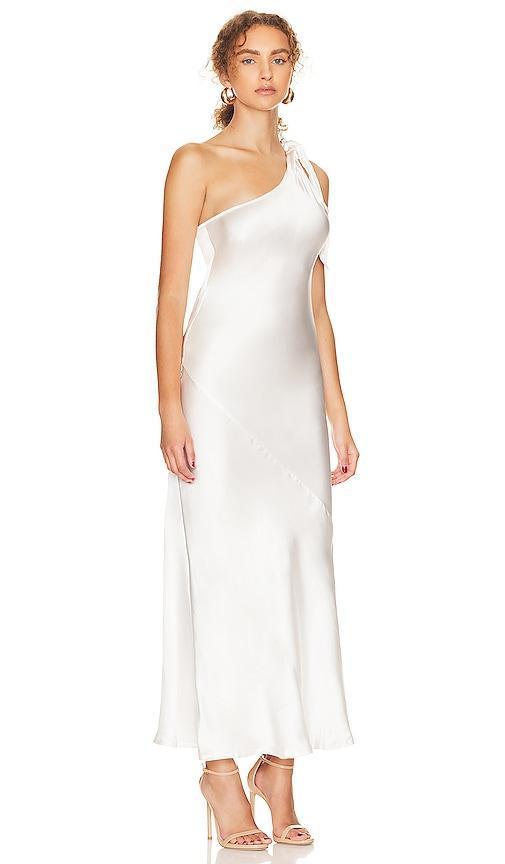 Isabelle Maxi Dress Karina Grimaldi Product Image
