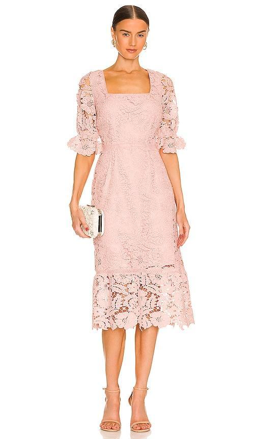 Did it My Way Dress Steve Madden Product Image