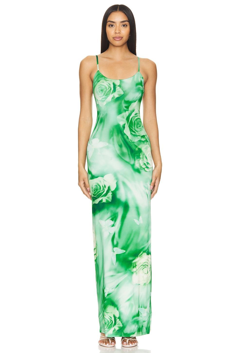 Lovers and Friends Zura Maxi Dress in Green Rose Swirl Product Image