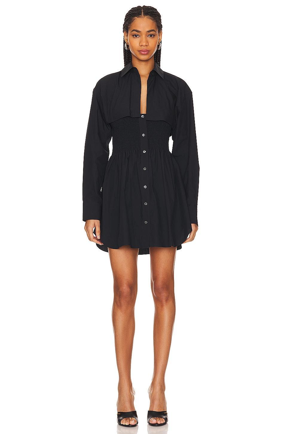 Smocked Mini Dress Alexander Wang Product Image