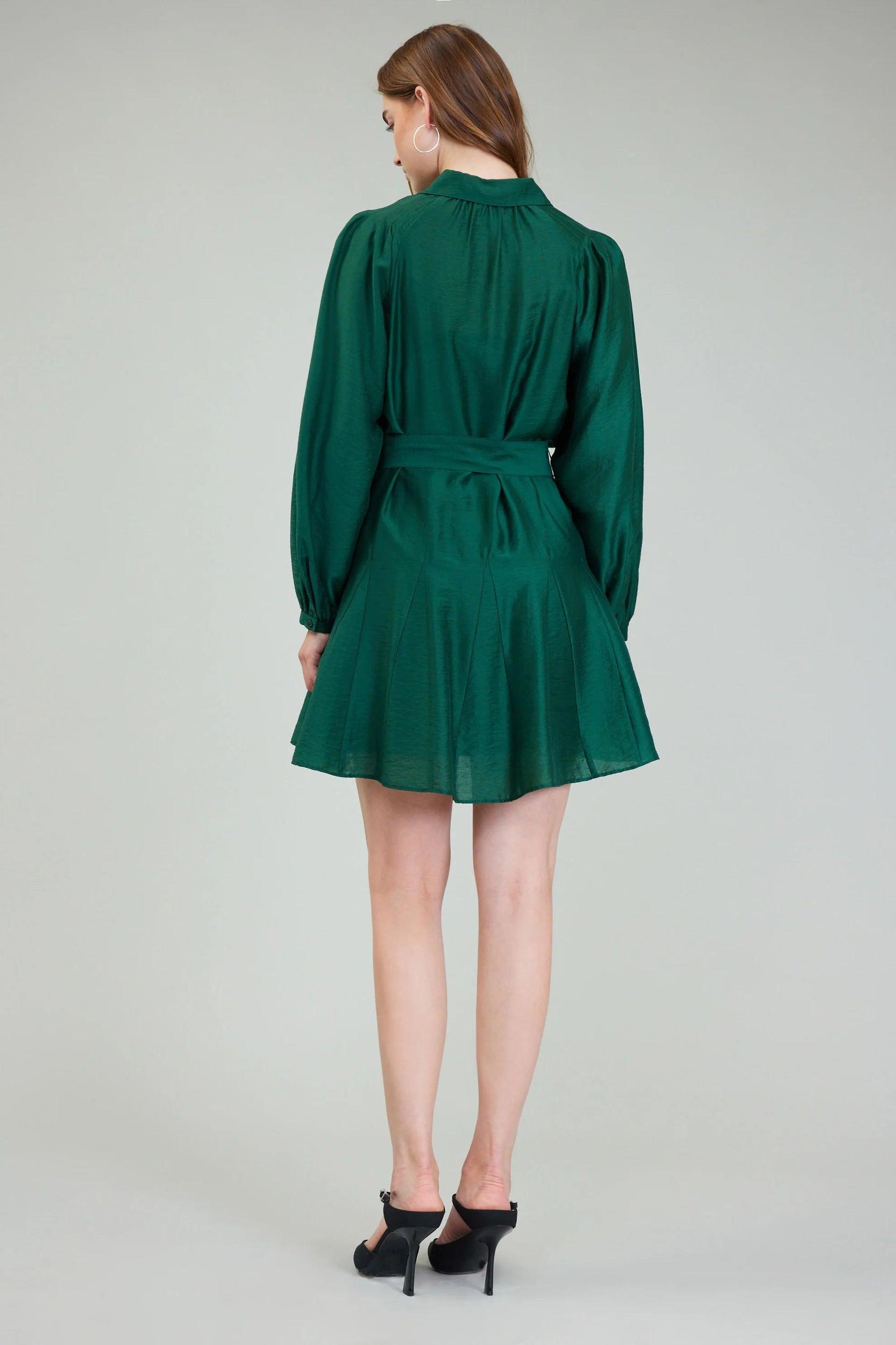 Perfect Fall Mini Dress Product Image