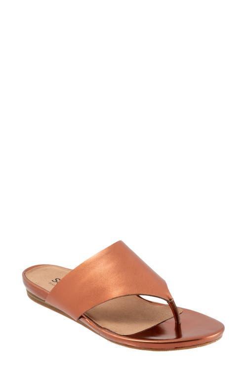 SoftWalk Chandler Women's Sandals Product Image