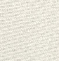 Nassau Cotton Blend Shorts Male Product Image
