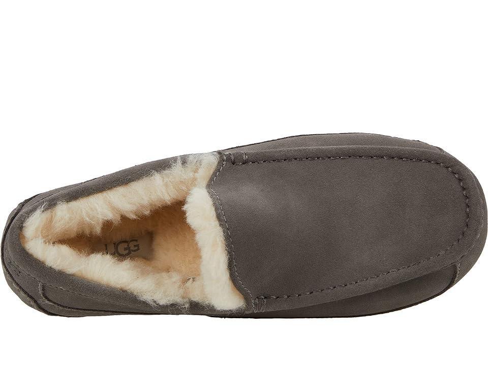 UGG Mens Ascot Suede Moc Product Image