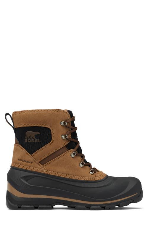 SOREL Buxton Waterproof Snow Boot In Multi Product Image
