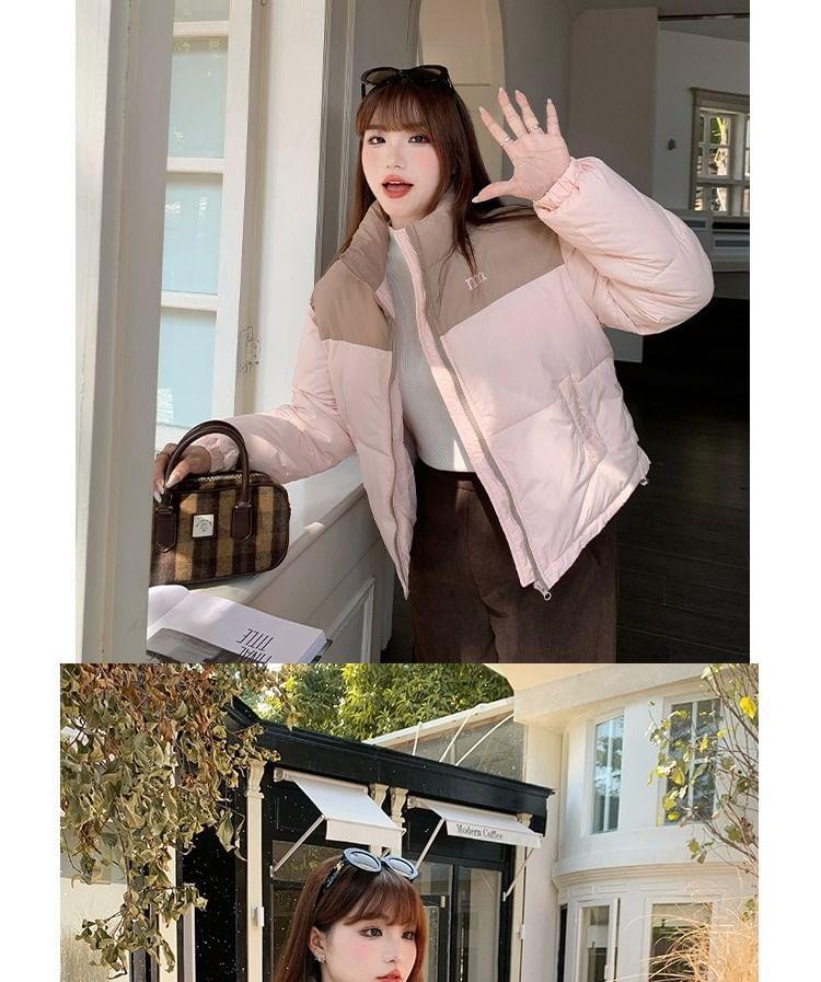 Two-Tone Padded Zip Jacket Product Image