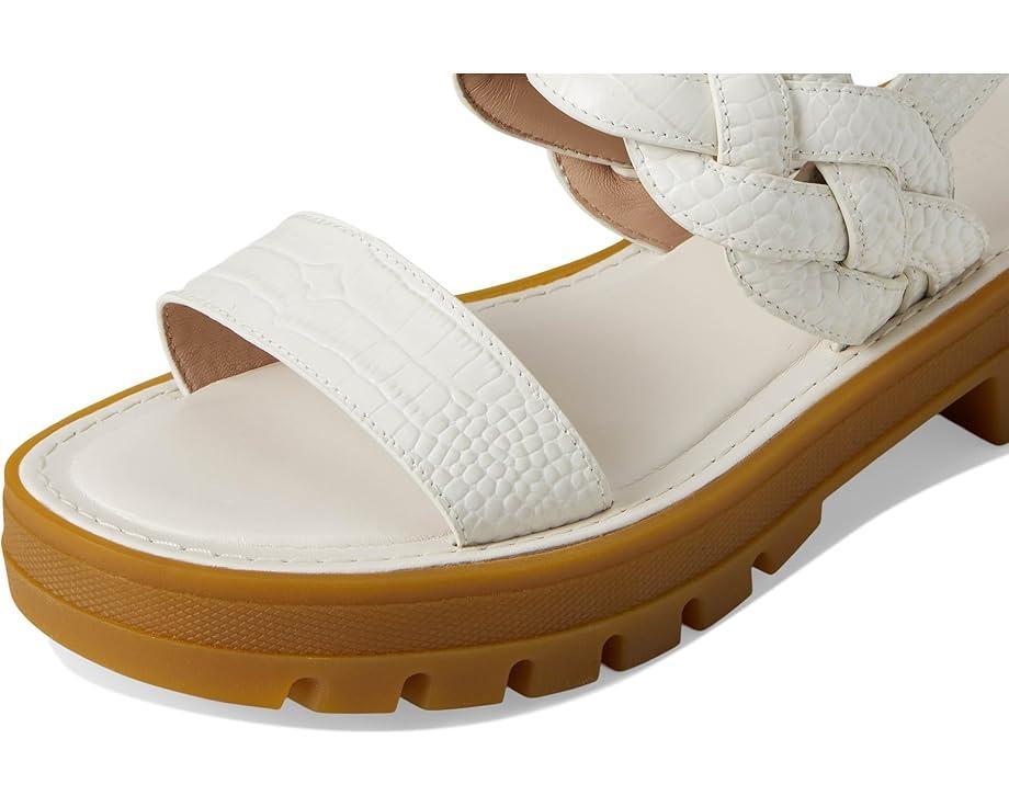 Oasis Product Image