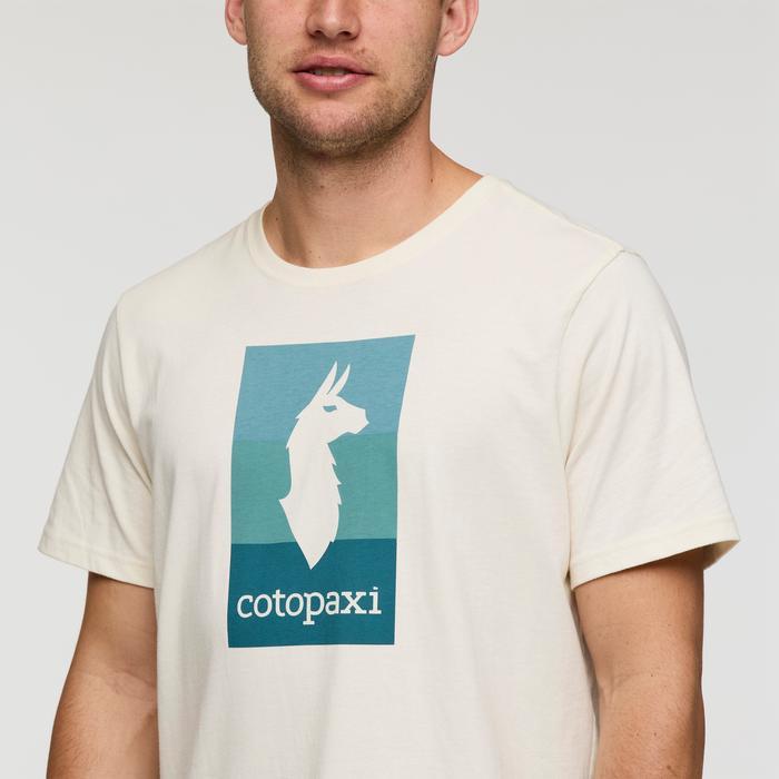 Llama Block T-Shirt - Men's Product Image