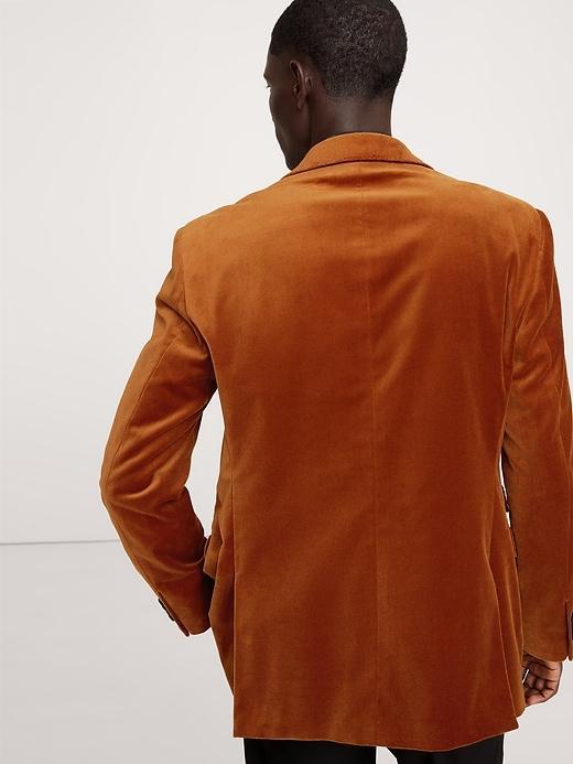 Velvet Suit Jacket Product Image