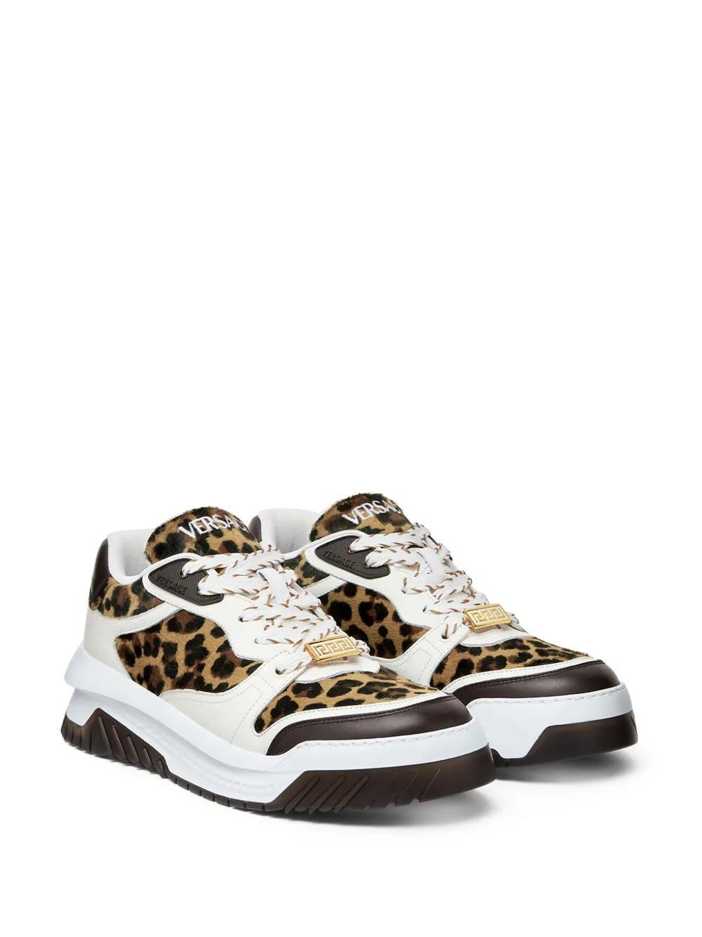 Odissea leopard-print sneakers Product Image