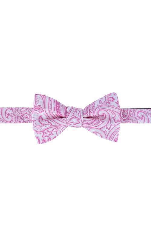 Trafalgar Sutton Pre Tied Bow Tie Product Image