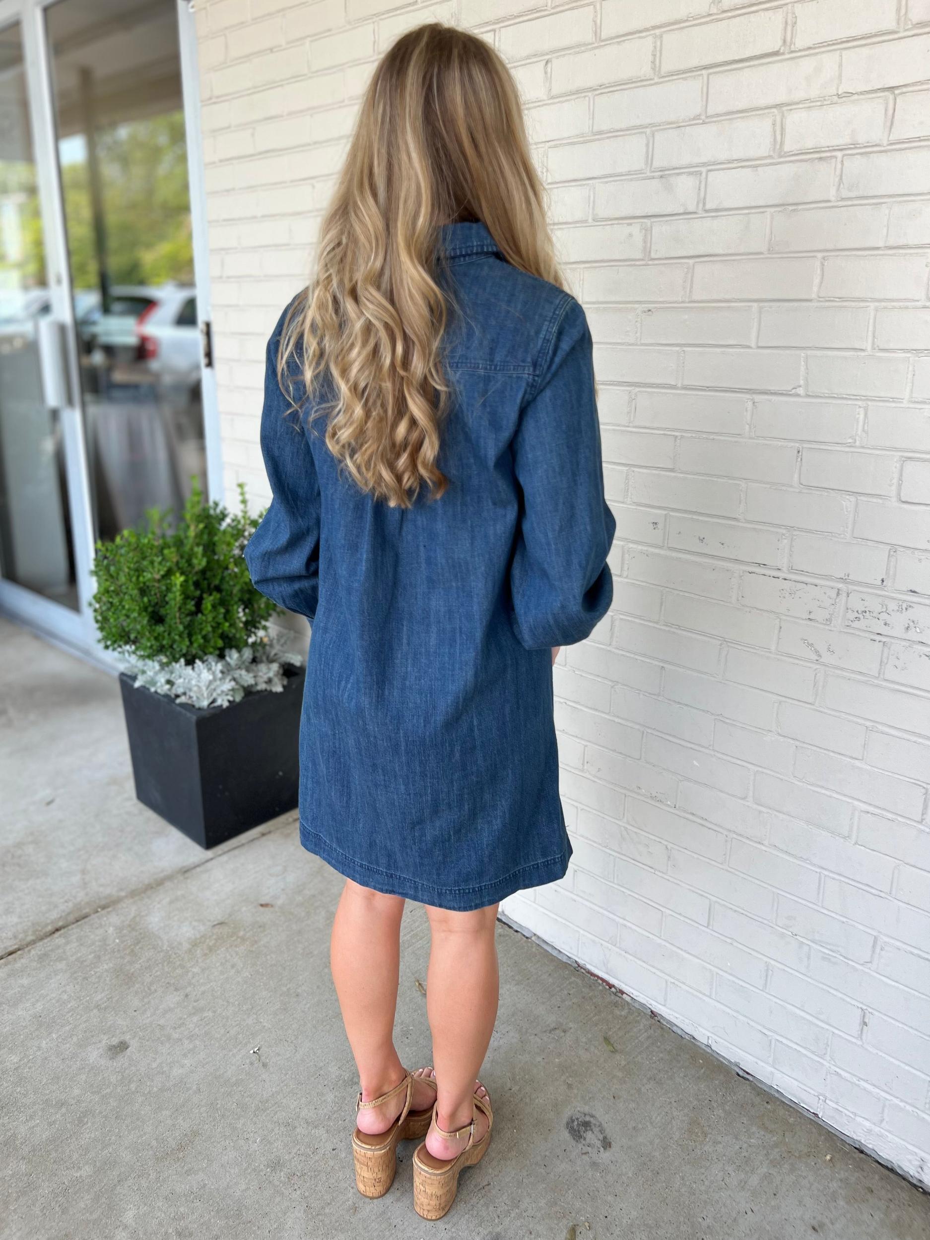 Phoebe Long Sleeve Denim Dress Product Image