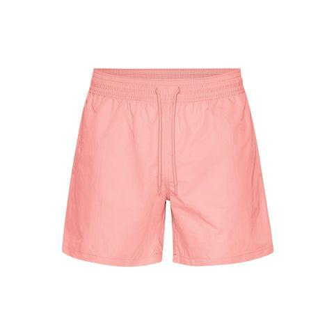 Classic Swim Shorts - Storm Grey Product Image