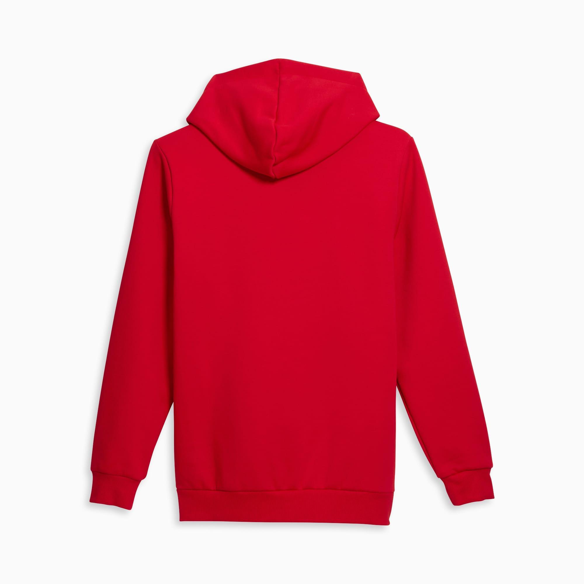 Big Cat Men's Logo Hoodie Product Image