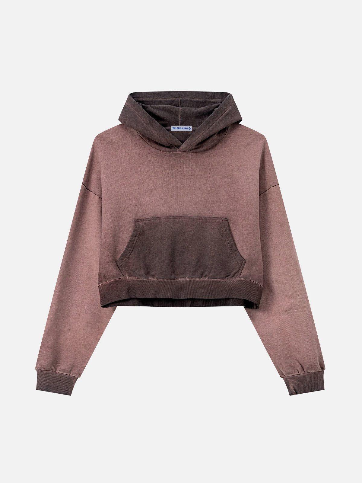 Aelfric Eden Washed Cropped Hoodie Female Product Image