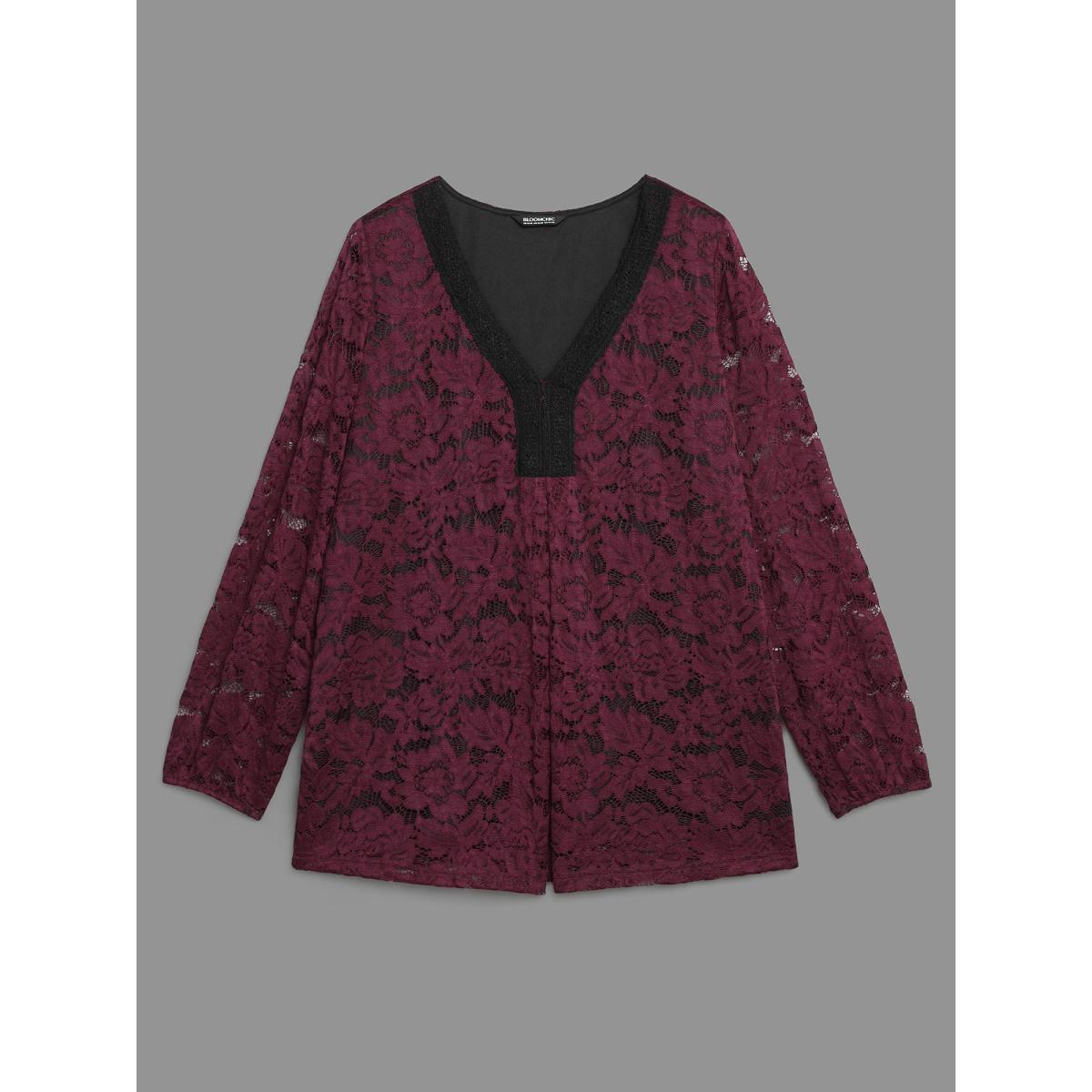 Plus Size Scarlet Sheer Lace Sleeve Pleated Slim-Fit Blouse Women Elegant Long Sleeve V-neck Everyday Blouses BloomChic 30/6X Product Image