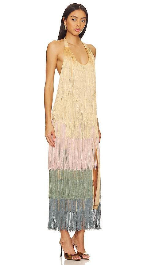 Neme Fringe Midi Dress Product Image