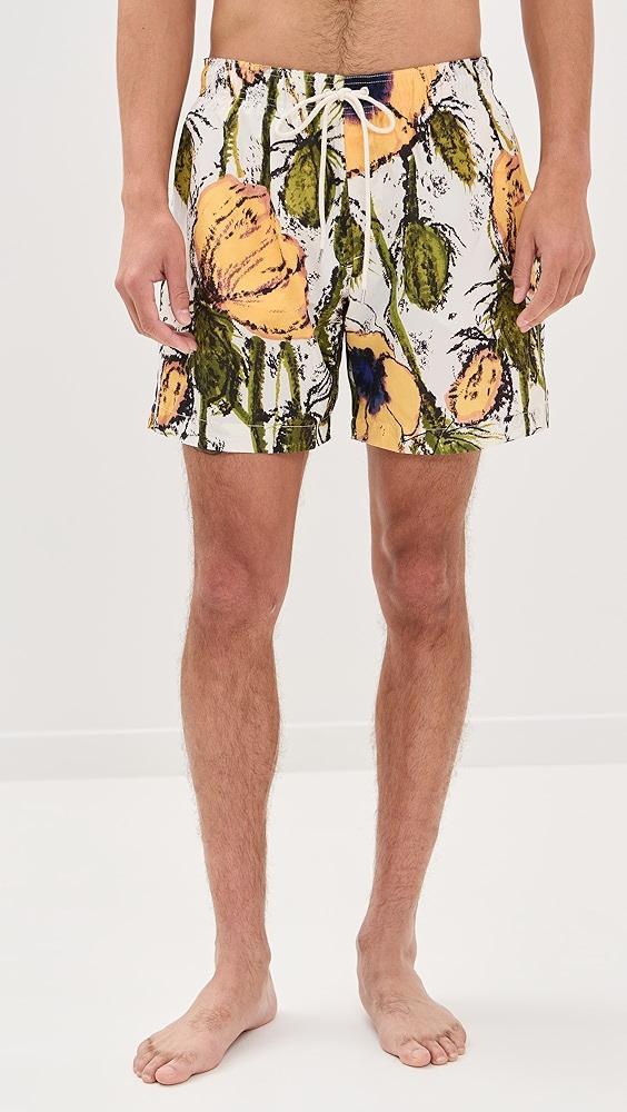 Wales Bonner Althea Shorts 7" | Shopbop Product Image