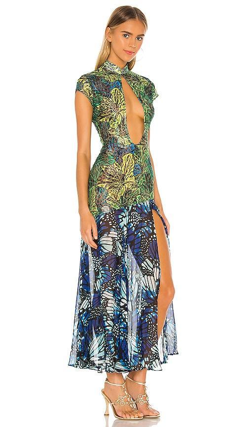Lace Butterfly Dress Product Image