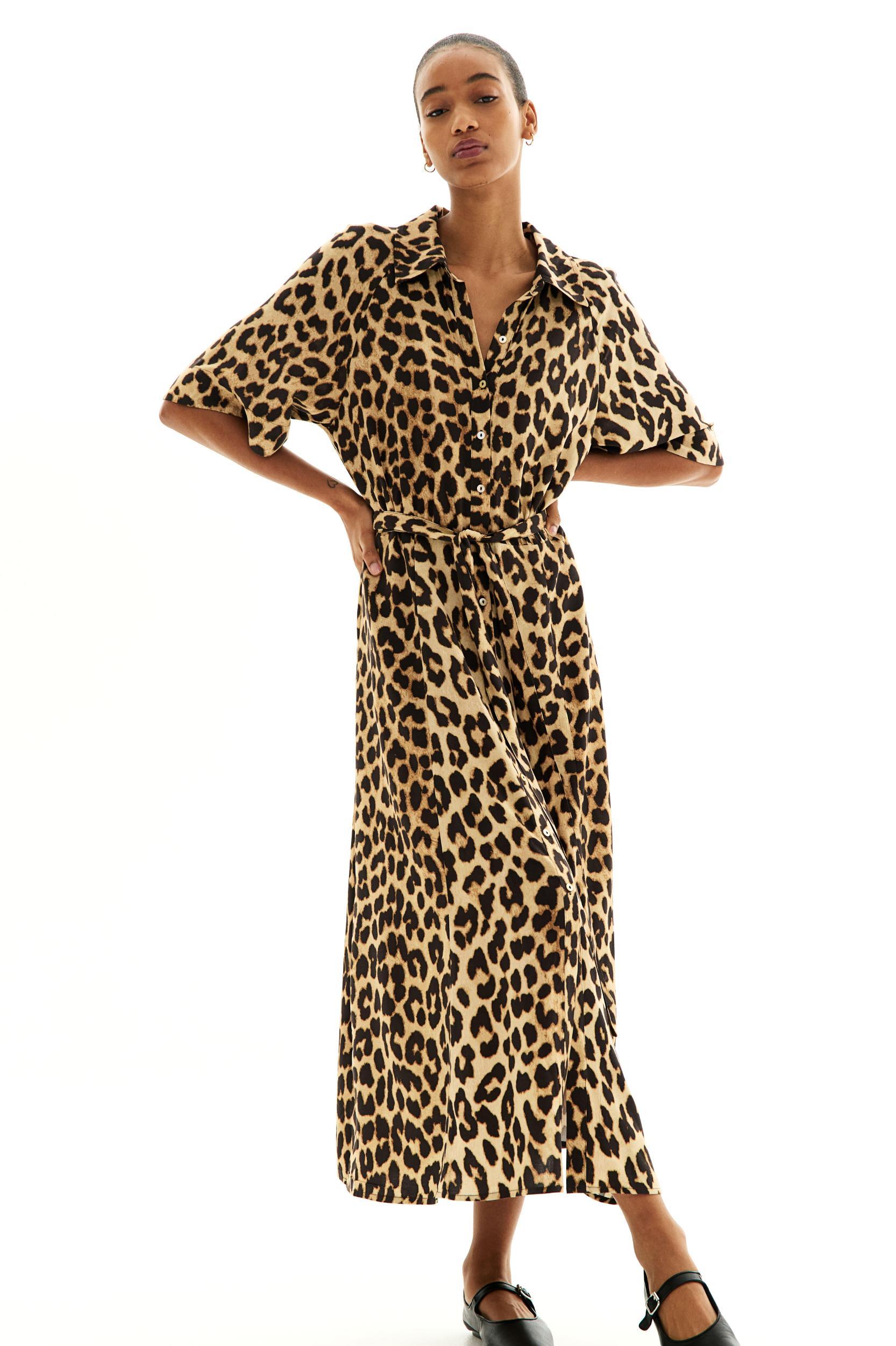 Tie-belt Shirt Dress Product Image