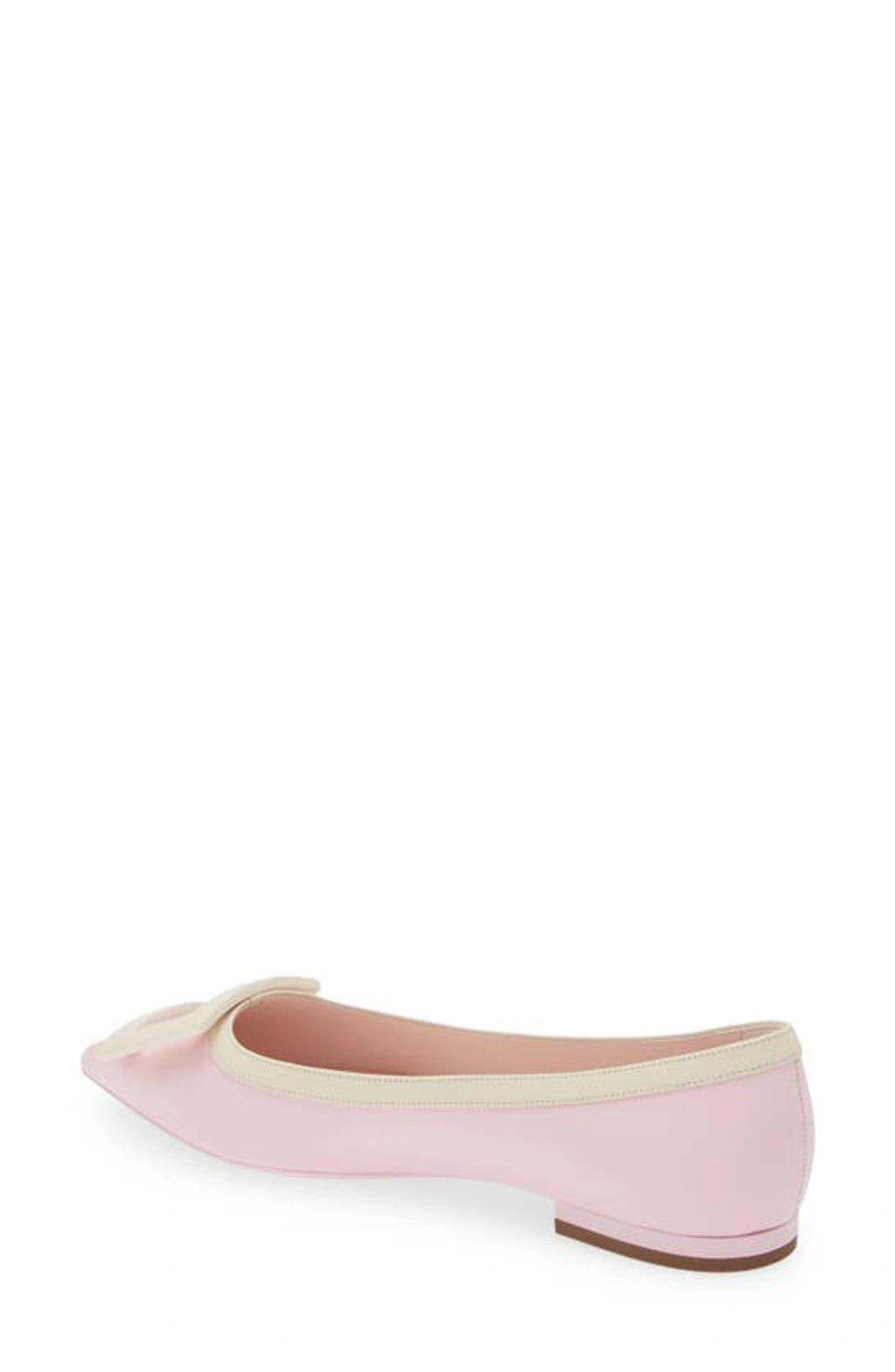 ROGER VIVIER 10mm Gommettine Leather Ballerina Flats In Pink Product Image
