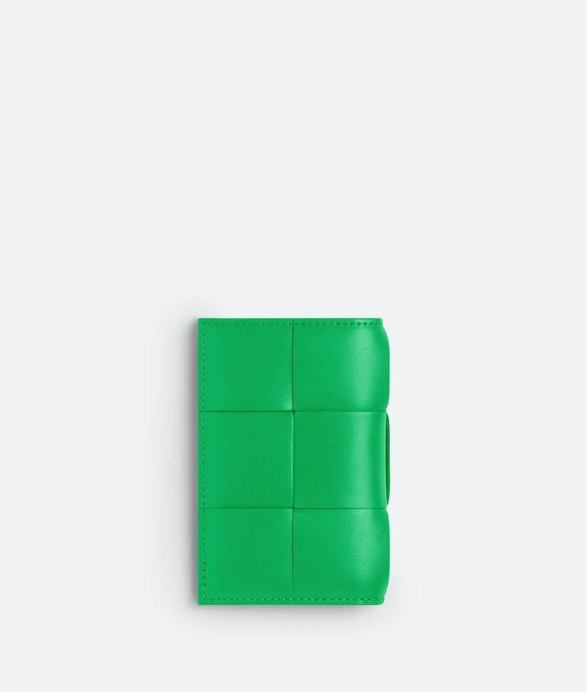 Men's Cassette Flap Card Case in Parakeet Product Image