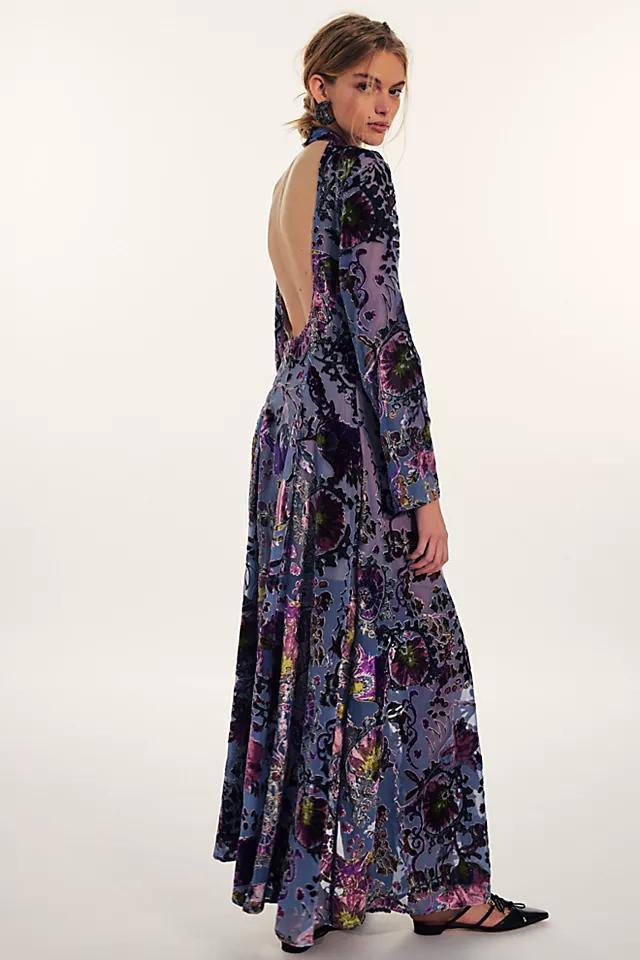 Bali Painterly Paisley Velvet Maxi Dress Product Image