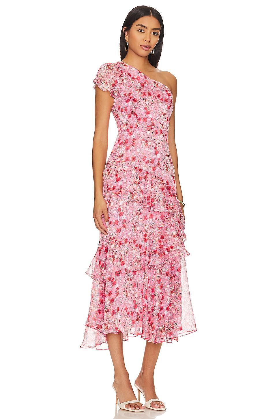 Victoriana Dress Product Image