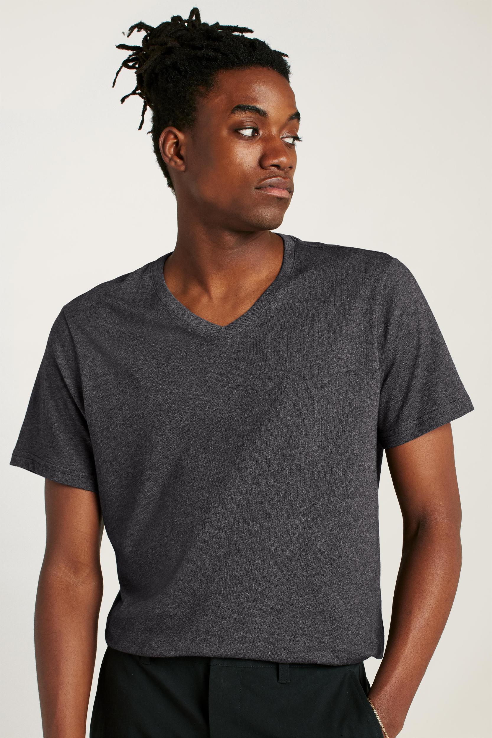 Organic Cotton V-Neck Tee Product Image
