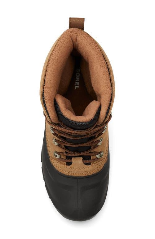 SOREL Buxton Waterproof Snow Boot In Multi Product Image
