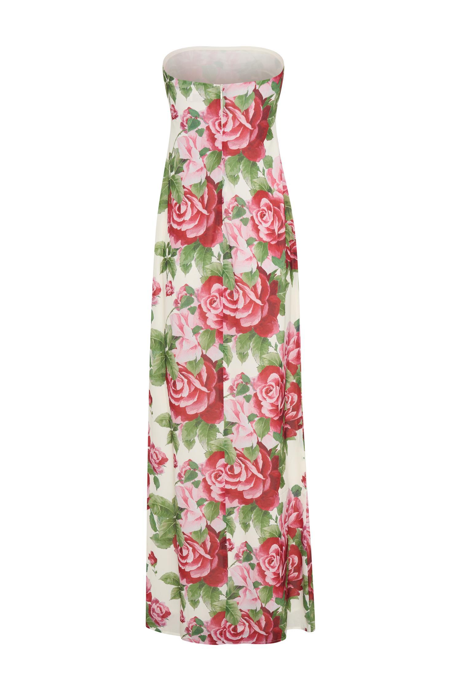 Ella Strapless Chiffon Maxi Dress - Sonia Rose Print Product Image