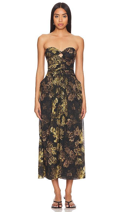 Palmer Strapless Maxi Dress Bec + Bridge Product Image