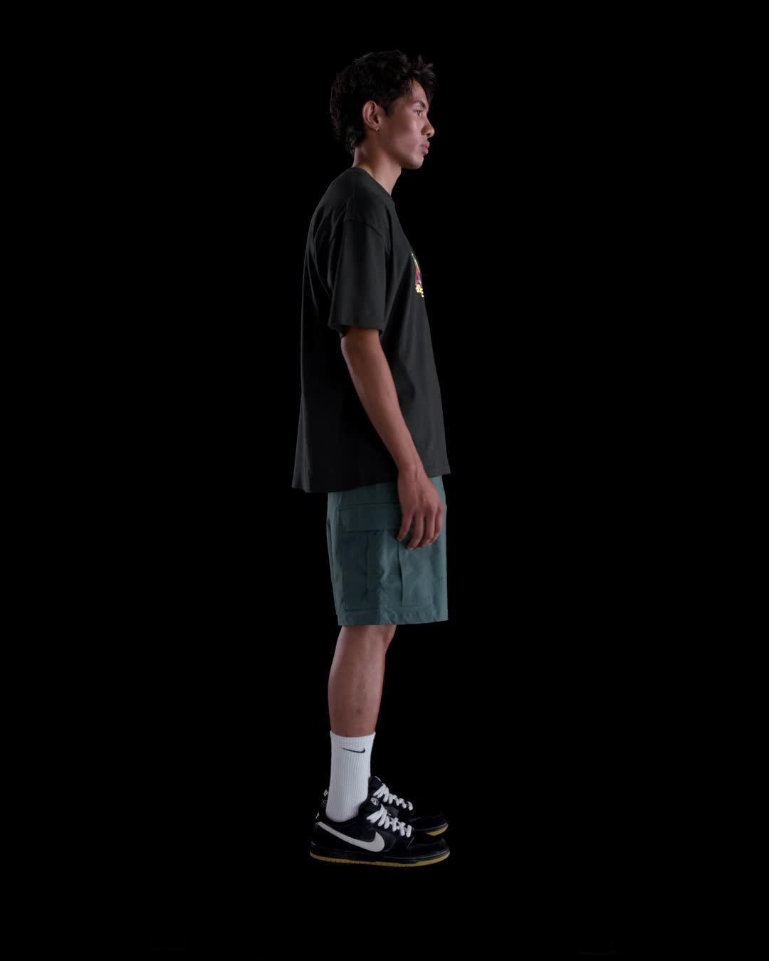 Nike SB Max90 Skate T-Shirt Product Image