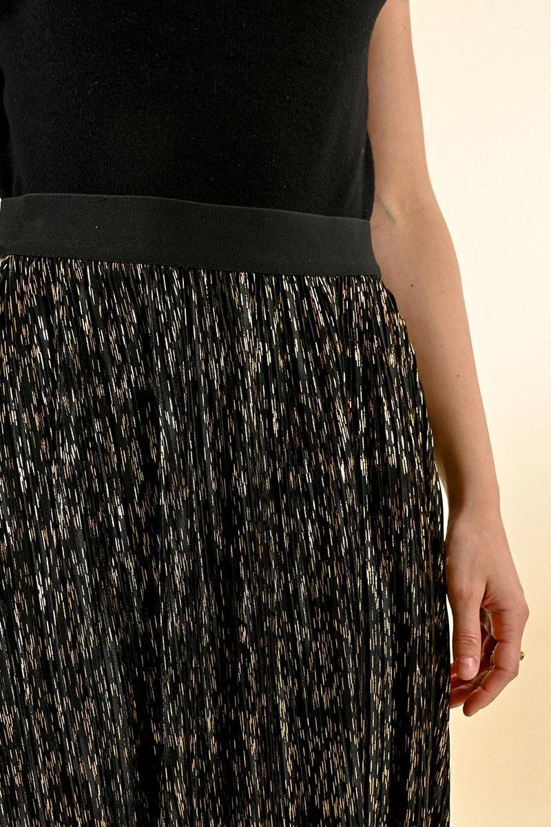 Long Pleated Skirt Product Image