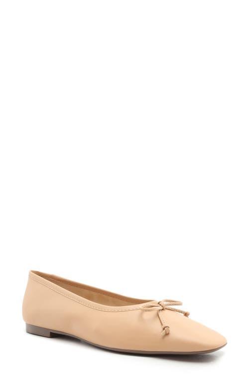 Womens Arissa Leather Ballet Flats Product Image