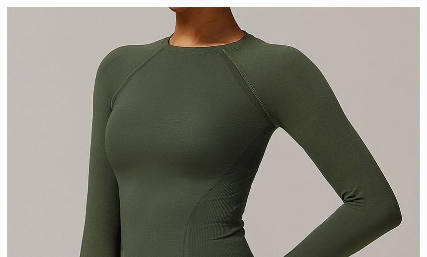 Long-Sleeve Round Neck Plain Raglan Slim Fit Sports T-Shirt Product Image