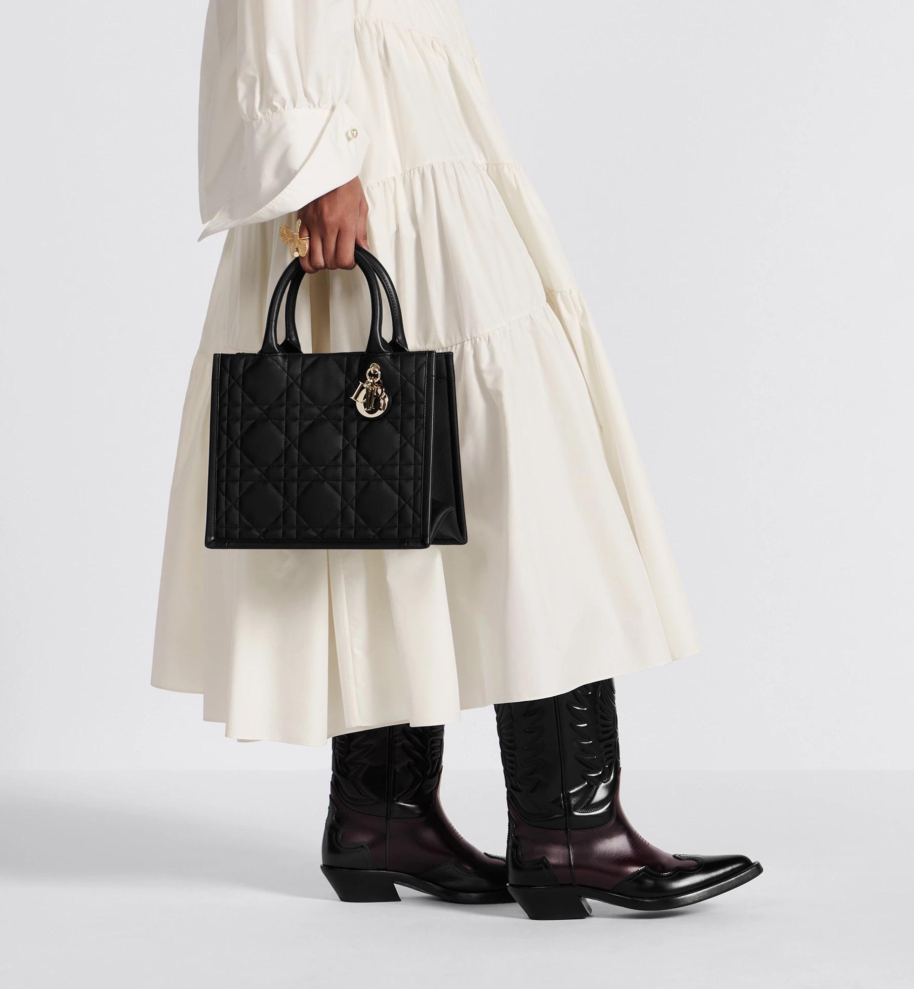 Small Dior Book Tote Product Image