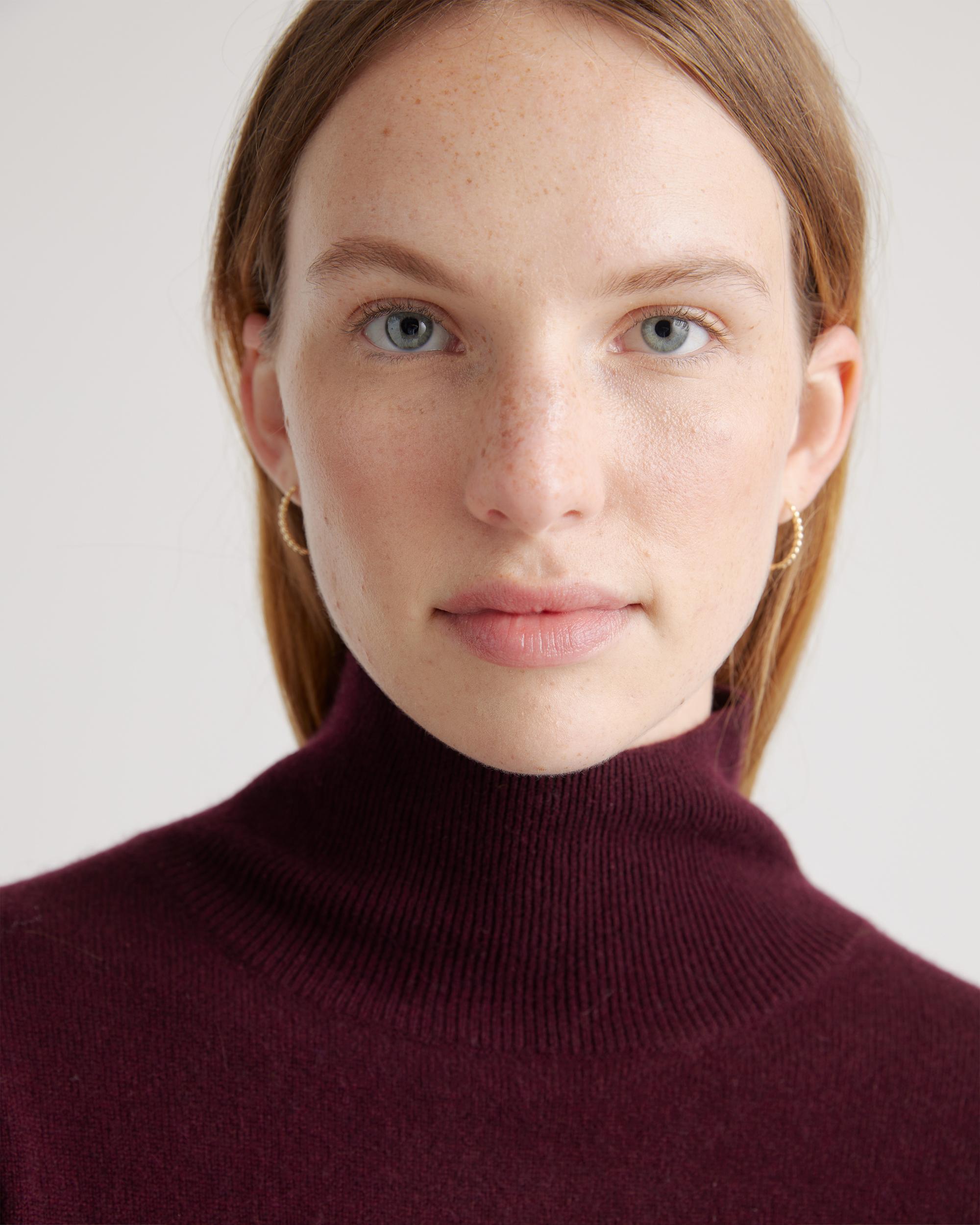 Quince | Women's Mongolian Cashmere Turtleneck Midi Sweater Dress Product Image