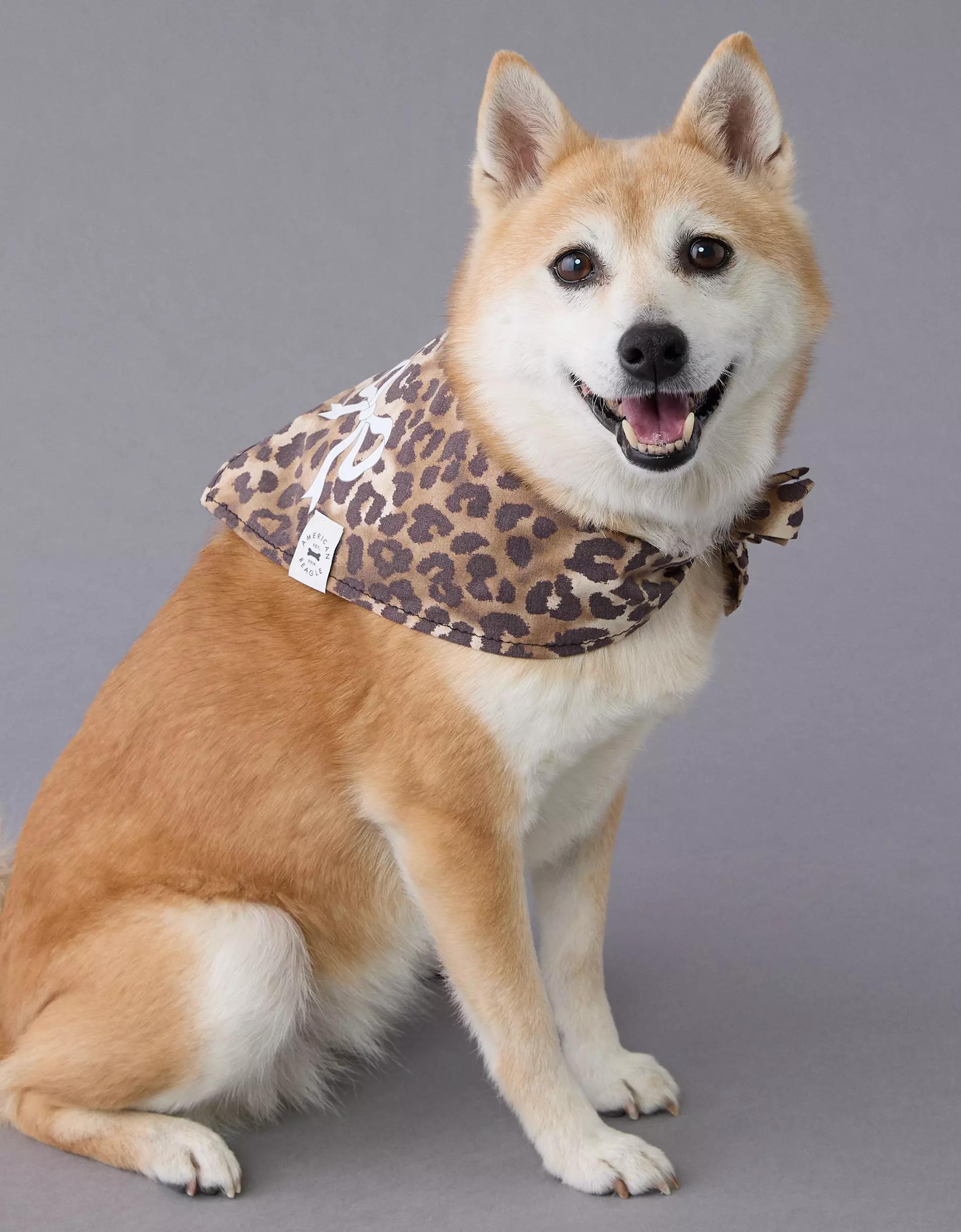 ABO Leopard Dog Bandana Product Image