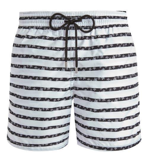Mens Striped Turtle Swim Shorts Product Image